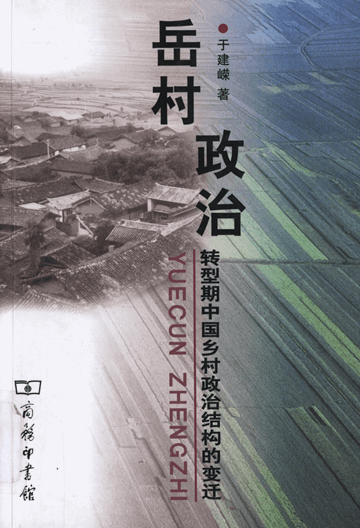 岳村政治：转型期中国乡村政治结构的变迁